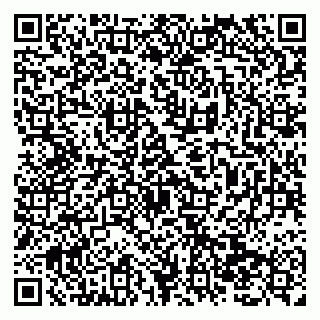 vCard 79138295486