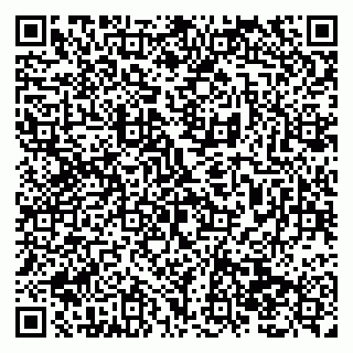 vCard 79138295488
