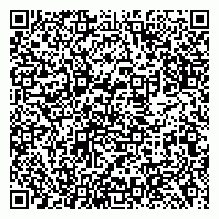 vCard 79138295653