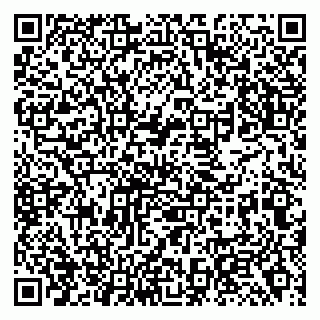 vCard 79138295753