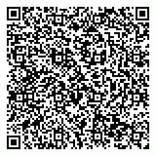 vCard 79138295877
