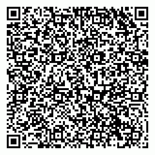 vCard 79138296002