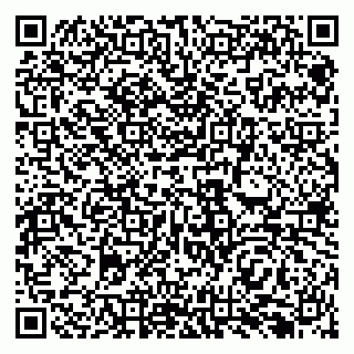 vCard 79138296013