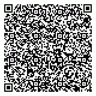 vCard 79138296019