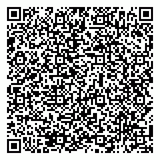 vCard 79138296100
