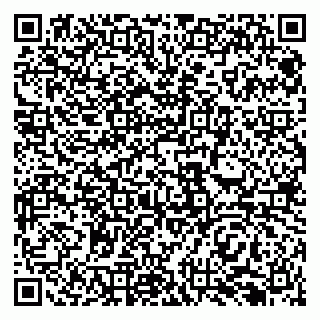 vCard 79138296103