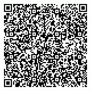 vCard 79138296131
