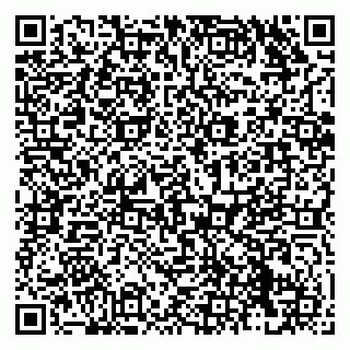 vCard 79138296201
