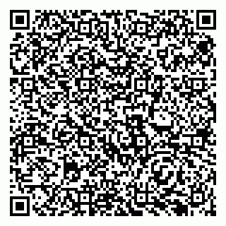 vCard 79138296205