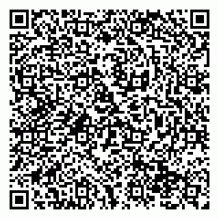vCard 79138296258