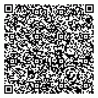 vCard 79138296271