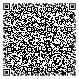 vCard 79138296290