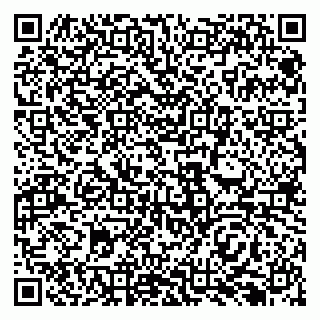 vCard 79138296293