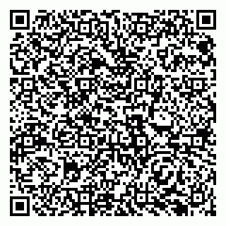 vCard 79138296302