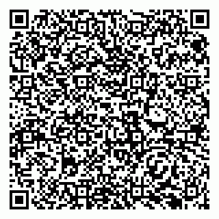 vCard 79138296303