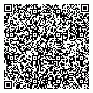 vCard 79138296306