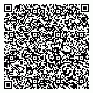 vCard 79138296325