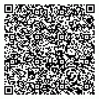 vCard 79138296334