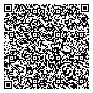 vCard 79138296335