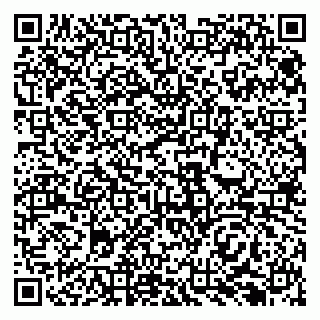 vCard 79138296337
