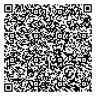 vCard 79138296339