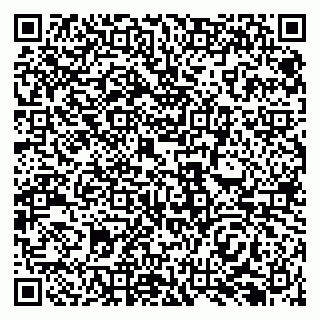vCard 79138296346