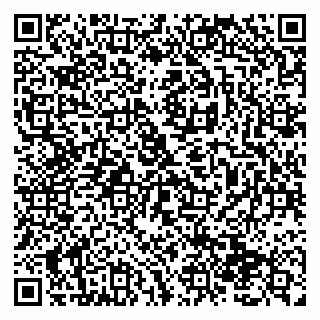 vCard 79138296347