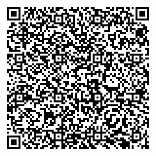 vCard 79138296348