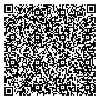 vCard 79138296355