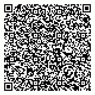 vCard 79138296356