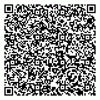 vCard 79138296359