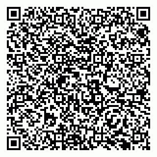 vCard 79138296374