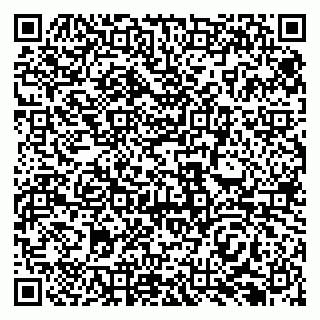 vCard 79138296385