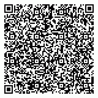 vCard 79138296403