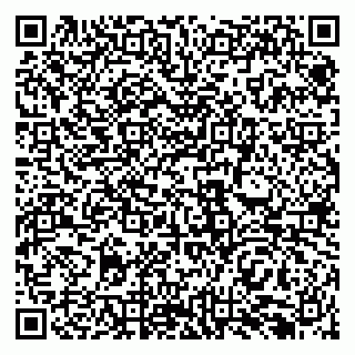 vCard 79138296404