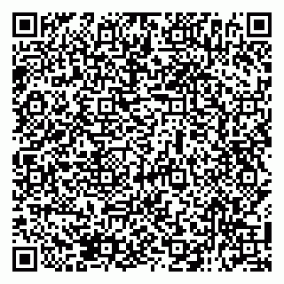 vCard 79138296405