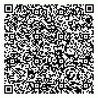 vCard 79138296471
