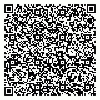 vCard 79138296477
