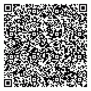 vCard 79138296483