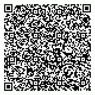 vCard 79138296485