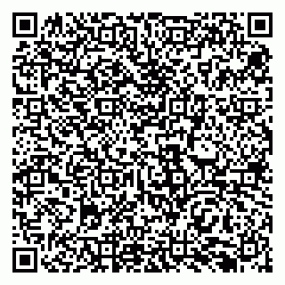 vCard 79138296489