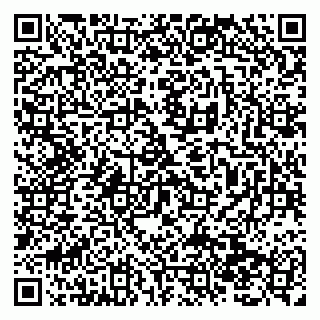 vCard 79138296495