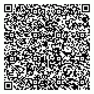 vCard 79138296502