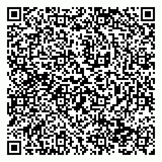 vCard 79138296539