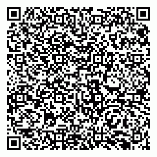 vCard 79138296563