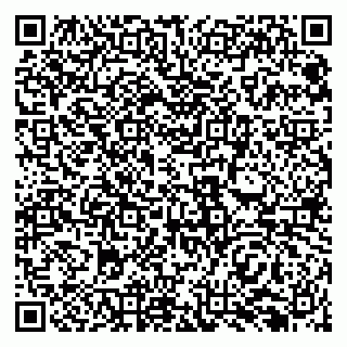 vCard 79138296702
