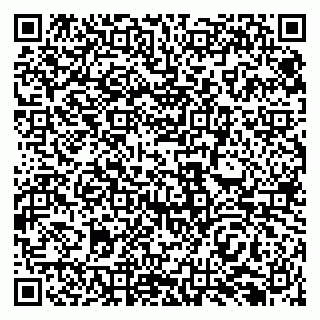 vCard 79138296704
