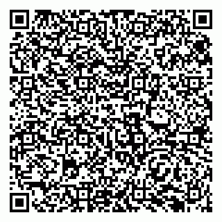 vCard 79138296705