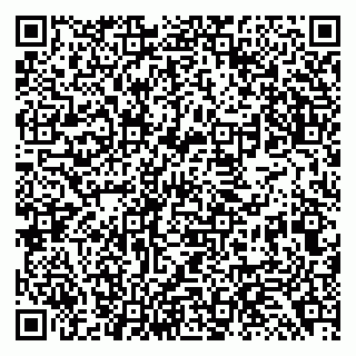 vCard 79138297294