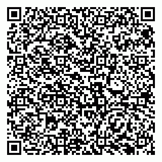 vCard 79138297331